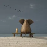 elephant