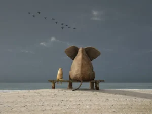 elephant